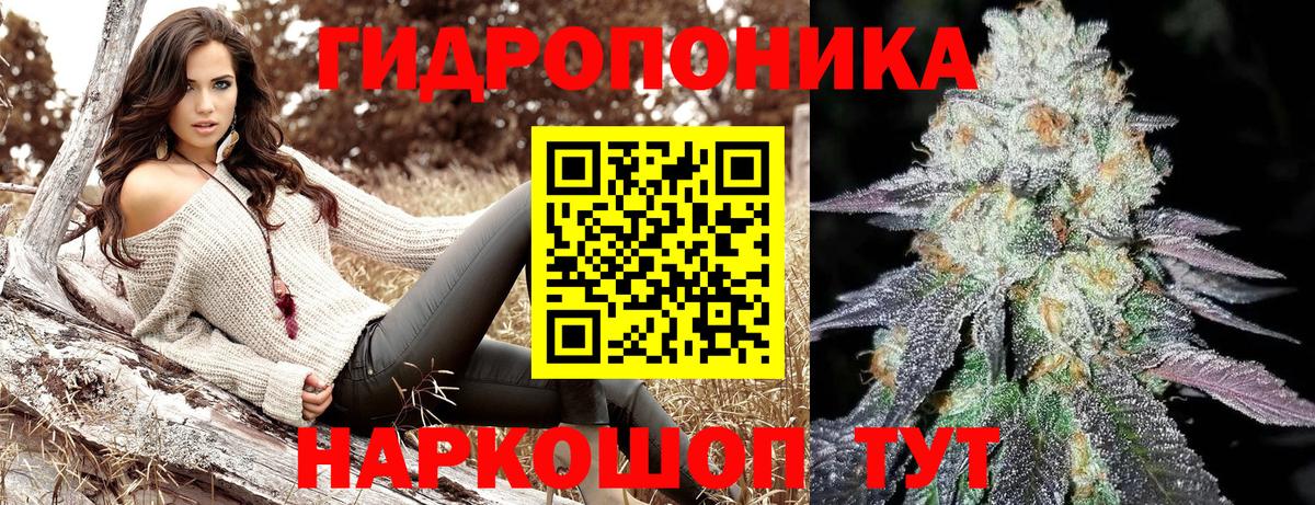 Конопля Bruce Banner  Марихуана план  Вход с VPN  Канабис AK-47  Канабис семена  Саранск 